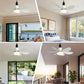 🏆 LETZTER TAG – 49 % RABATT! 🔥40W LED-Deckenventilator mit Licht – 52 cm (20,5“), extrem leise, inkl. Fernbedienung 🎯E27-Fassung + KOSTENLOSER B22-Adapter 🔌Ideal für Schlafzimmer 😴, Küche 👩‍🍳 & Werkstatt 🛠️