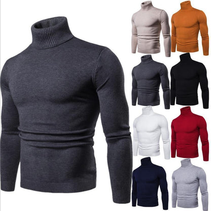 🎊Weihnachts-Superrabatt🎊 2024 neuer warmer Rollkragenpullover für Herren