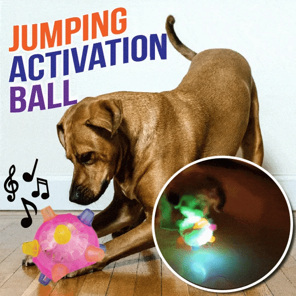 Springender 🔥Heißer Verkauf 49% Rabatt🐶Springender Aktivierungsball für Hunde ...