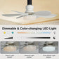 🏆 LETZTER TAG – 49 % RABATT! 🔥40W LED-Deckenventilator mit Licht – 52 cm (20,5“), extrem leise, inkl. Fernbedienung 🎯E27-Fassung + KOSTENLOSER B22-Adapter 🔌Ideal für Schlafzimmer 😴, Küche 👩‍🍳 & Werkstatt 🛠️