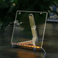 🎁LED-Zeichentafel (inklusive 7 Neonstifte und 25 Malschablonen)